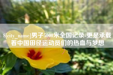 海丰男子5000米全国记录-更是承载着中国田径运动员们的热血与梦想