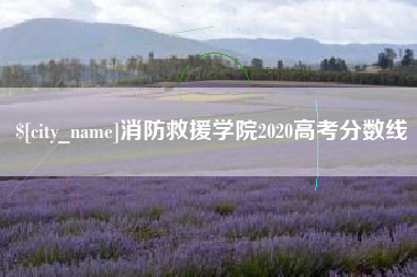 海丰消防救援学院2020高考分数线