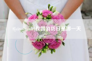 海丰我国消防日是哪一天