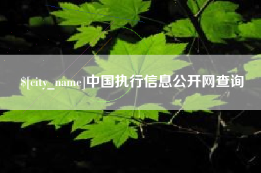 海丰中国执行信息公开网查询