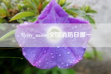 海丰全国消防日哪一