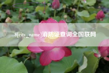 海丰消防证查询全国联网