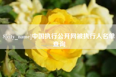 海丰中国执行公开网被执行人名单查询