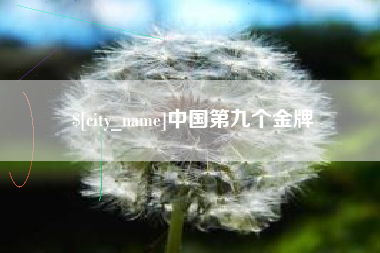 海丰中国第九个金牌