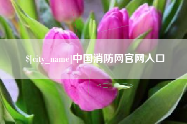 海丰中国消防网官网入口