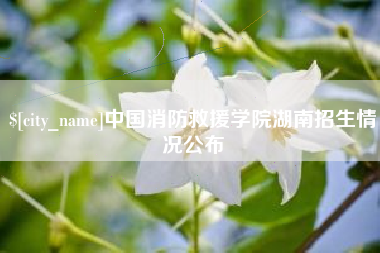 海丰中国消防救援学院湖南招生情况公布