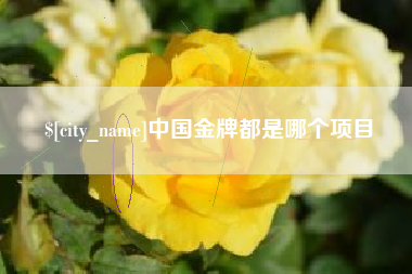 海丰中国金牌都是哪个项目