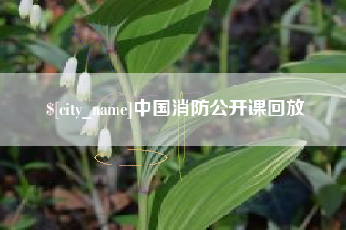 海丰中国消防公开课回放