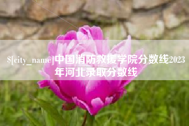 海丰中国消防救援学院分数线2023年河北录取分数线