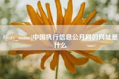 海丰中国执行信息公开网的网址是什么