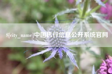 海丰中国执行信息公开系统官网