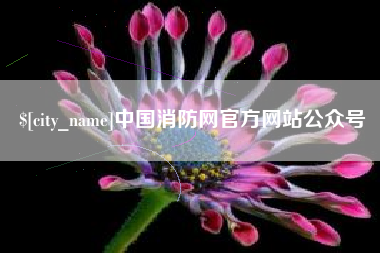海丰中国消防网官方网站公众号