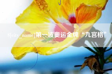 海丰第一波奥运金牌“九宫格”