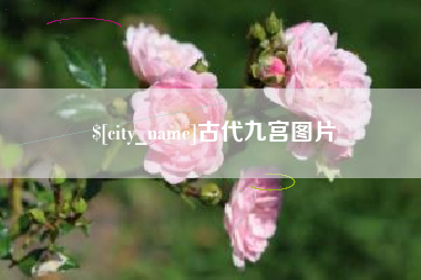 海丰古代九宫图片