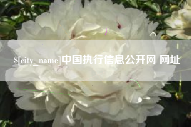 海丰中国执行信息公开网 网址