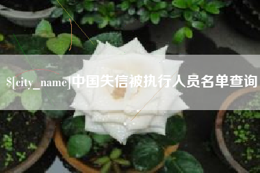 海丰中国失信被执行人员名单查询
