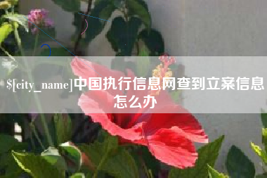 海丰中国执行信息网查到立案信息怎么办
