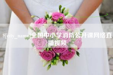 海丰全国中小学消防公开课网络直播视频