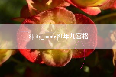 海丰21年九宫格