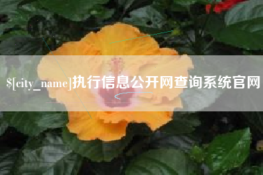 海丰执行信息公开网查询系统官网