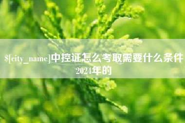 海丰中控证怎么考取需要什么条件2024年的