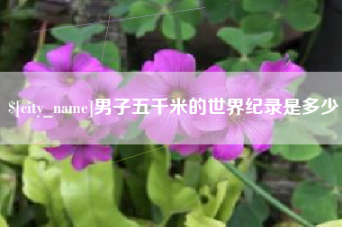 海丰男子五千米的世界纪录是多少