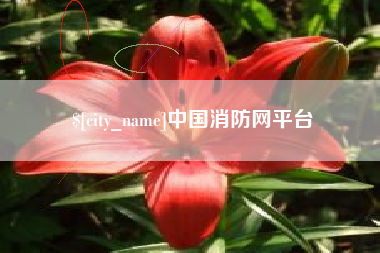 海丰中国消防网平台