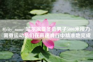 海丰哈尔滨亚冬会男子5000米接力-需要运动员们在高速滑行中精准地完成