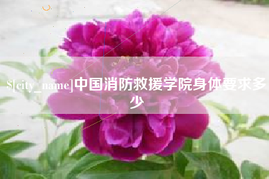 海丰中国消防救援学院身体要求多少