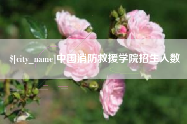 海丰中国消防救援学院招生人数