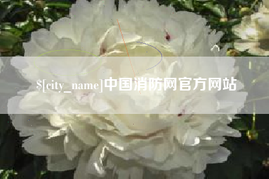 海丰中国消防网官方网站