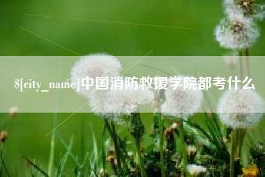 海丰中国消防救援学院都考什么