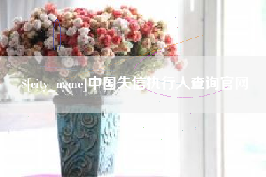 海丰中国失信执行人查询官网