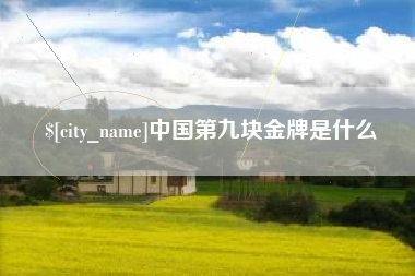 海丰中国第九块金牌是什么