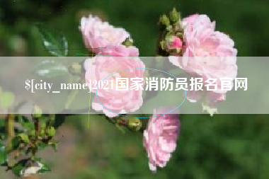 海丰2021国家消防员报名官网