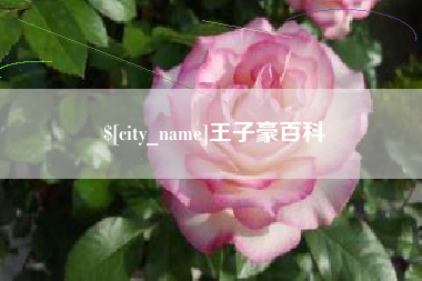 海丰王子豪百科