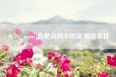 海丰合肥消防中控证 报名条件