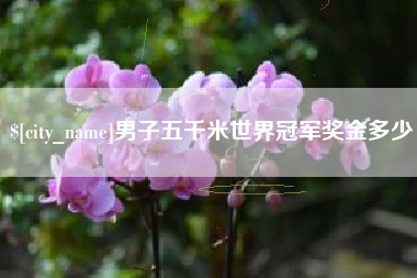 海丰男子五千米世界冠军奖金多少