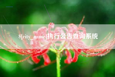 海丰执行公告查询系统