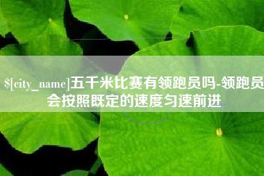 海丰五千米比赛有领跑员吗-领跑员会按照既定的速度匀速前进