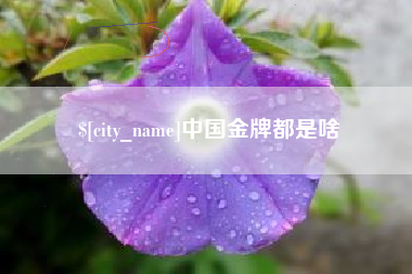 海丰中国金牌都是啥