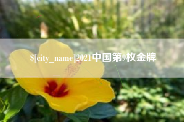 海丰2021中国第9枚金牌