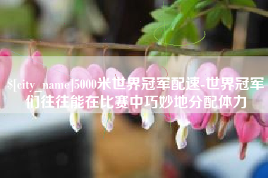 海丰5000米世界冠军配速-世界冠军们往往能在比赛中巧妙地分配体力