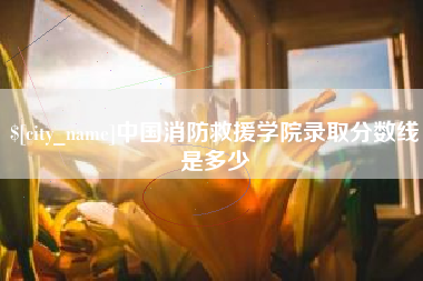 海丰中国消防救援学院录取分数线是多少