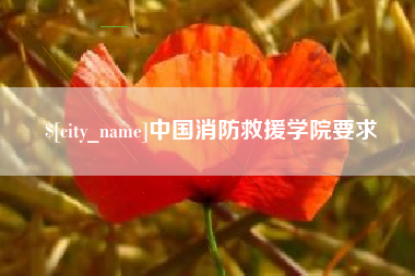 海丰中国消防救援学院要求