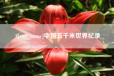 海丰中国五千米世界纪录