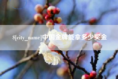 海丰中国金牌能拿多少奖金