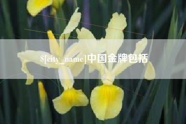海丰中国金牌包括