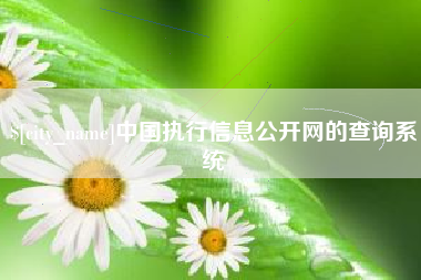海丰中国执行信息公开网的查询系统