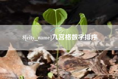 海丰九宫格数字排序